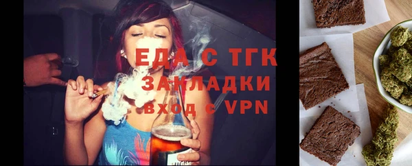 индика Гусиноозёрск