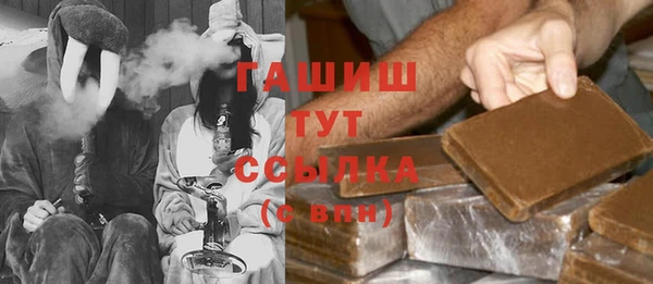 индика Гусиноозёрск