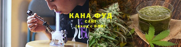 индика Гусиноозёрск