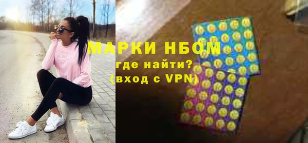 индика Гусиноозёрск