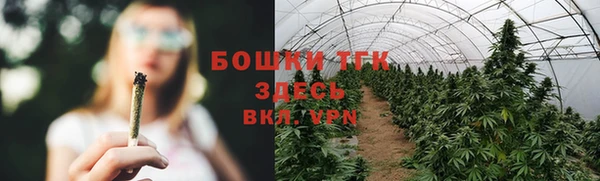 винт Гусь-Хрустальный