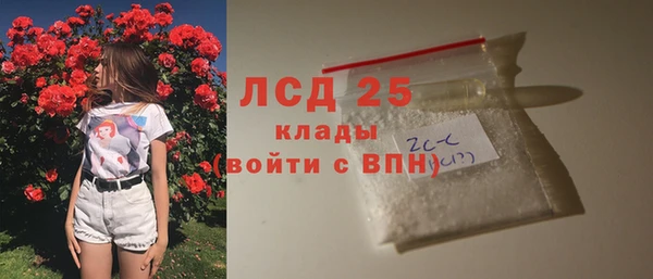 индика Гусиноозёрск