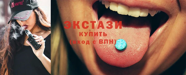 индика Гусиноозёрск
