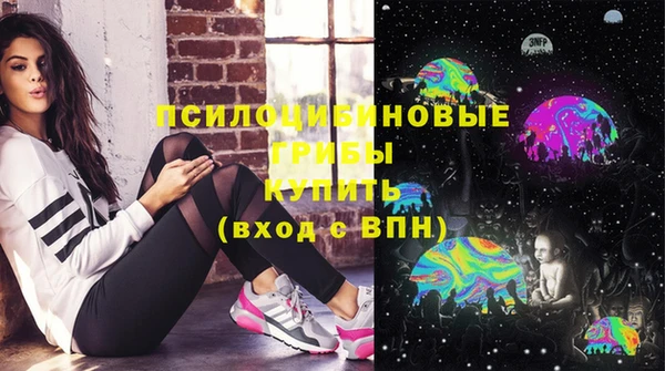винт Гусь-Хрустальный