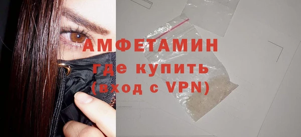 индика Гусиноозёрск