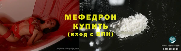 индика Гусиноозёрск