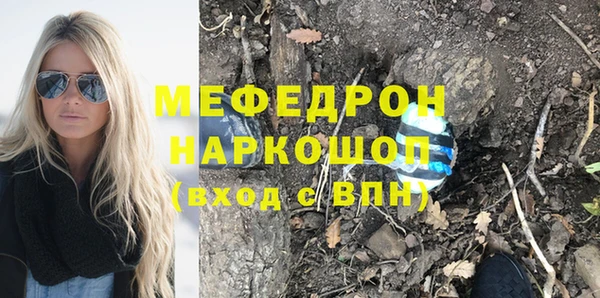 индика Гусиноозёрск