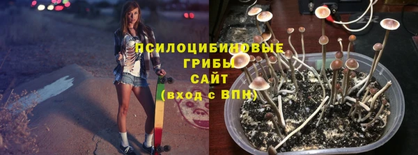дживик Лысково