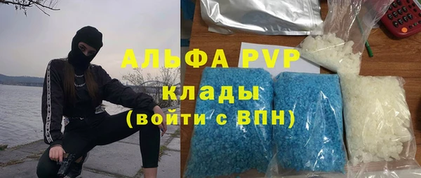 винт Гусь-Хрустальный