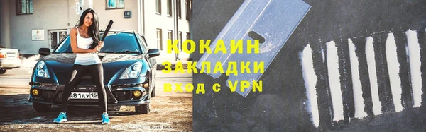 индика Гусиноозёрск
