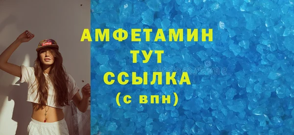 индика Гусиноозёрск