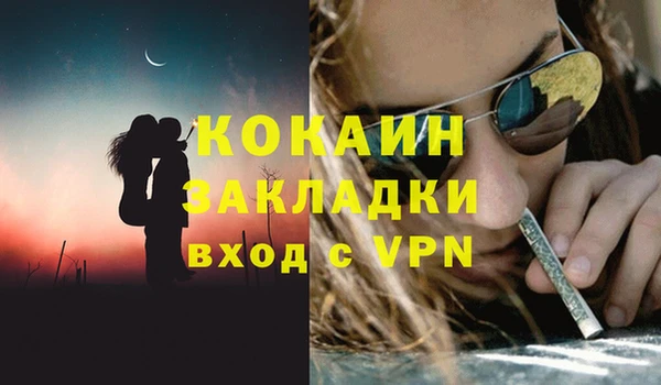 индика Гусиноозёрск