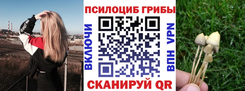 сколько стоит  Новохопёрск  Псилоцибиновые грибы MAGIC MUSHROOMS 